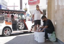 Ciruelas, ciruelas !lleve sus ciruelas!