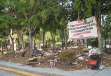 Tres semanas de hojarasca, ramas…y un poco de basura