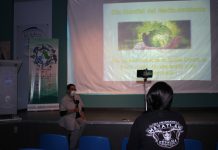 Celebra Acuario Mazatlán “Día Mundial del Medio Ambiente”