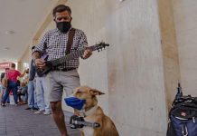 Trillo y LoLa compañeros de vida, una “historia de amor”