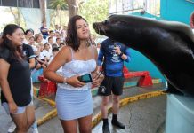 Reserva y aprovecha el 3×2 en Acuario Mazatlán