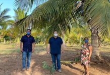 El cultivo y venta de cocos, una actividad que se niega a desaparecer: Fernando Pucheta