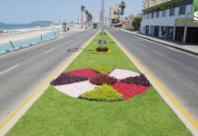 Malecón Cambia de Imagen con su Corredor Verde