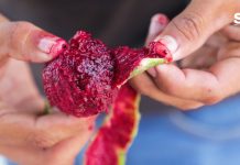 Ya Probó las Pitayas?…Pues ¡¡Córrale Porque se Acaban!!