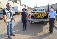 Pesca Azteca continúa con esfuerzos para mantener un Mazatlán más limpio