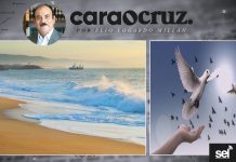 PEREGRINA: EL VIENTO, EL MAR,Y EL RECUERDO…