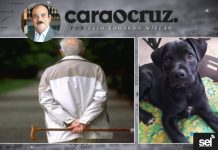 EN ESTE DÍA DEL PERRO, LES PRESENTO AL MÍO.