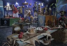 Presenta Acuario Mazatlán exposición fotográfica y muestra del Museo Mazatlán