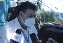 Sigue Acuario Mazatlán su reactivación