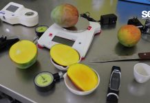 Agricultura Sustentable, Carrera con Gran Futuro en la UTESC