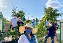 Apoya SEDESU arborización del parque Diamante en Villas del Humaya