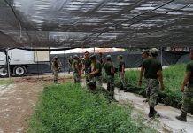 SEDESU y Jardín Botánico Culiacán invitan a adoptar un árbol