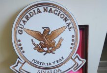 Descubre GN droga en interior de mono de peluche y dulces