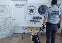 Localiza GN supuestas metanfetaminas en mensajería.