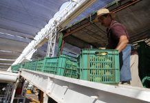 Sinaloa, 10°lugar nacional en el Indicador Trimestral de la Actividad Económica Estatal reportado por el INEGI