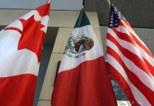 ¿De qué tamaño y cuál es la importancia del T-MEC?