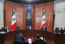 Tribunal Electoral ordena al INE crear lista de quienes cometan violencia política de género