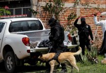 Suman 56 mil 956 homicidios en lo que va del sexenio de AMLO