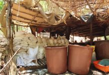 Sedena, GN y PEP aseguran 4 laboratorios de droga sintética en Culiacán