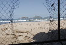 ¿Quienes habitan en las alcantarillas de Mazatlán?