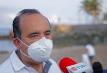 Buena Recuperación Económica; Viable un Tren de Carga