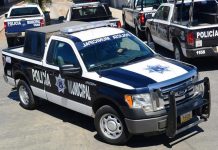 Inicia Sinaloa, segundo semestre del 2020 con delitos a la baja: SESESP