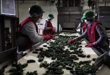 Reporta el IMSS la cifra de empleo para Sinaloa en Julio