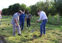 Gobierno de Escuinapa plantará 2 mil árboles en la cabecera municipal.