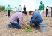 Contribuye SEDESU a la creación de corredores verdes en Elota