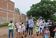Se suma SEDESU al proyecto de arborización del colectivo El Gran Árbol en Mazatlán