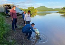 Siembra de alevines de tilapia en dique el Batamote y en la Cofradía