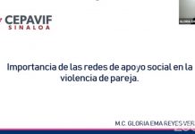 Personal de trabajo social, un puente de ayuda entre las mujeres y las instituciones