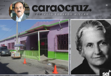 SÓLO PARA PROFESORES Y FUTUROS PROFESORES.