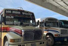 “Ranchobuses” circulan por el camino de la tristeza