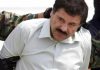 ‘El Chapo’ apela sentencia a cadena perpetua en NY
