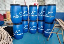 En el marco del Día Mundial de las Playas, Pesca Azteca refuerza su compromiso para contribuir a la conservación de las playas de Mazatlán.