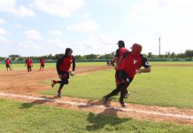 EL CLIMA NO DA TREGUA A VENADOS DE MAZATLÁN