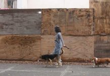 Países de Europa, con rebrote de coronavirus; no hay fórmulas mágicas: López-Gatell