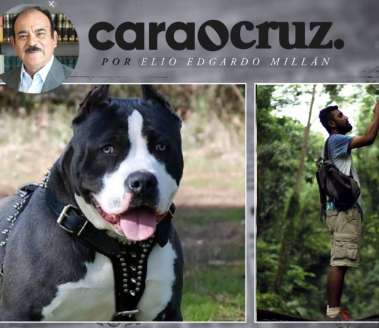 EL LLAMADO DE LA SELVA.