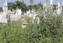 Están panteones en el olvido