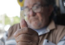 Don Octavio y su gusto por dejar crecer sus uñas