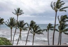 ‘Alerta Roja’ en 8 municipios de QR, hay peligro por ‘Gamma’