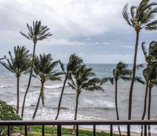 ‘Alerta Roja’ en 8 municipios de QR, hay peligro por ‘Gamma’