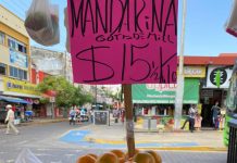 Ya llegó la mandarina, pero cara; $40 el kilo