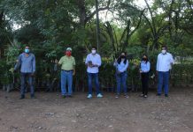Suma SEDESU más de 100 mil árboles donados para incrementar la cobertura forestal de Sinaloa