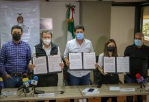 Facilitarán la información del transporte público con aplicación móvil