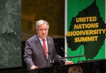 La ONU avierte que la pandemia del coronavirus amenaza los progresos en igualdad de género