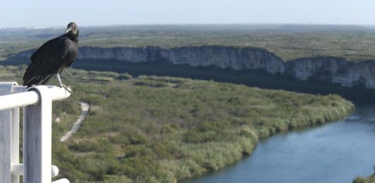 México cumple entrega de agua a Estados Unidos con presas internacionales