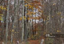 Arrestan en Berlín a hombre caníbal; tuvo cita con su víctima