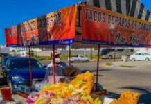 ¿Tienes antojo de taquitos de camarón?, busca a Don Piri